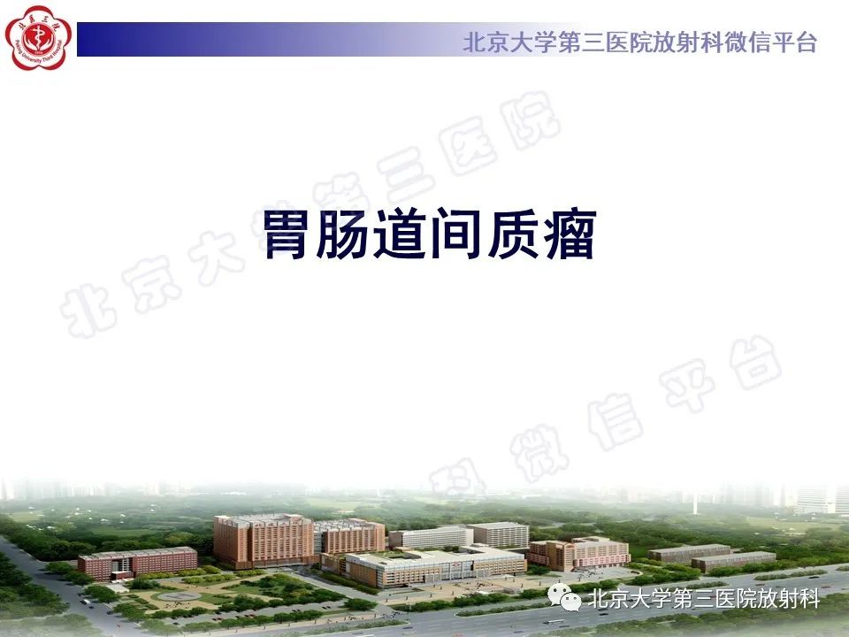 【PPT】胃肠道间质瘤-12