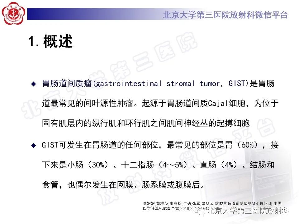 【PPT】胃肠道间质瘤-13