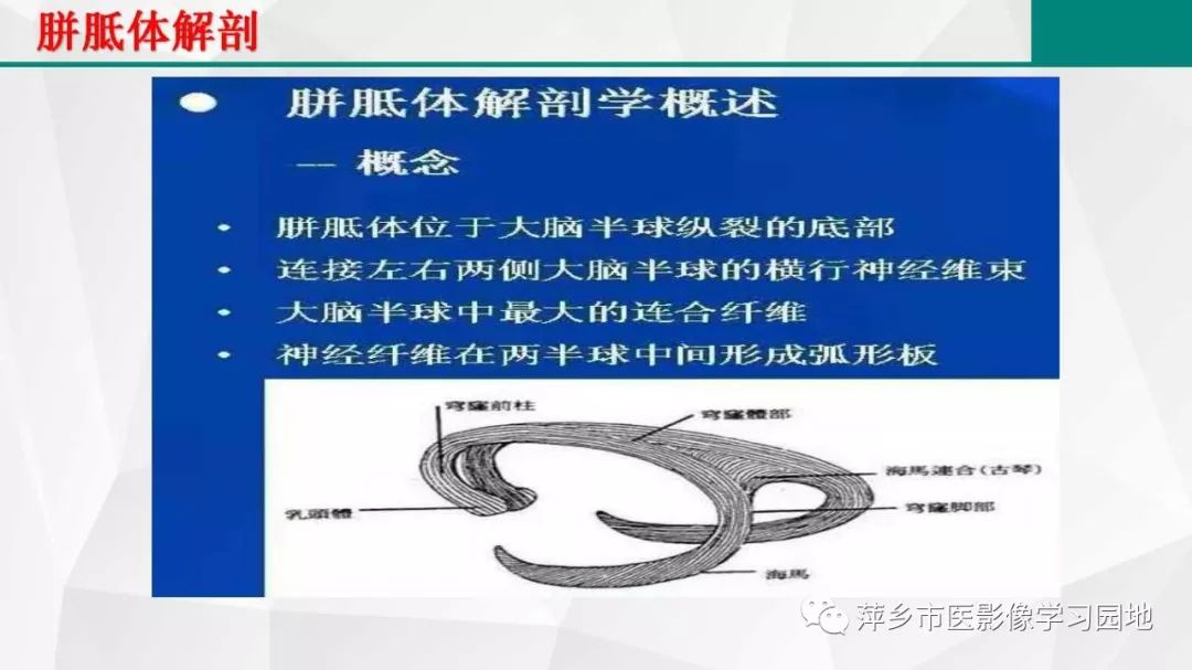 【PPT】可逆性胼胝体压部病变综合征-6