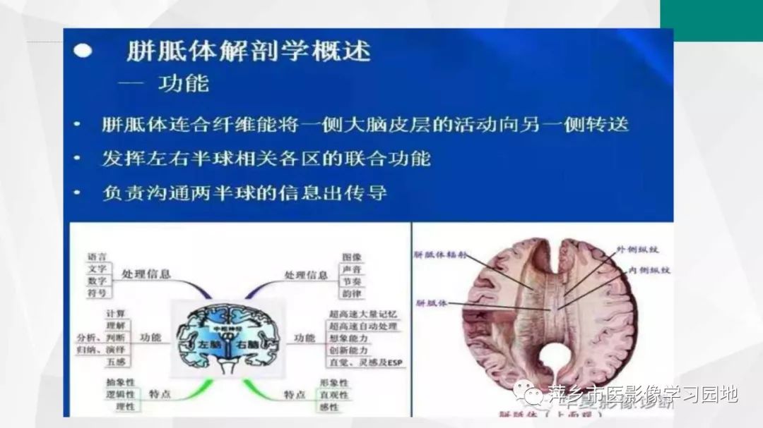 【PPT】可逆性胼胝体压部病变综合征-7