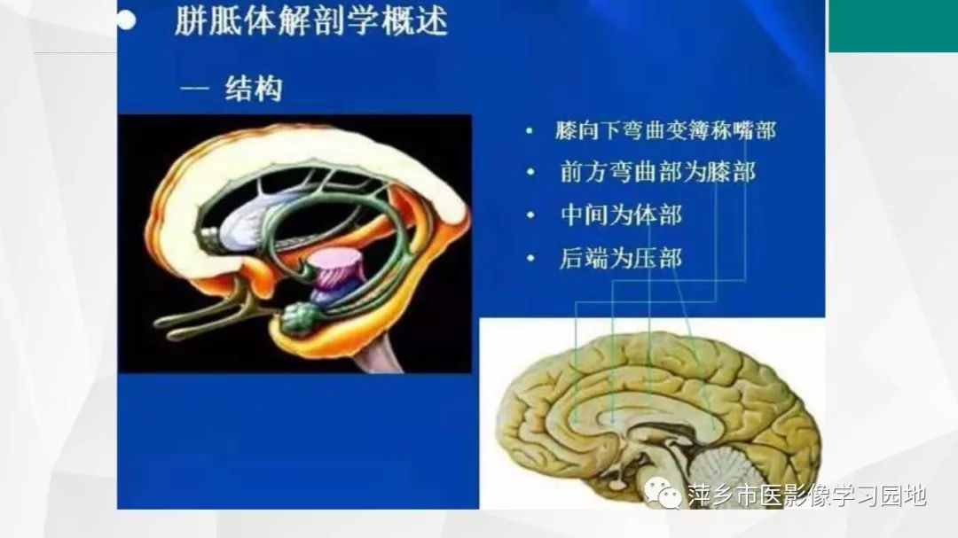 【PPT】可逆性胼胝体压部病变综合征-8