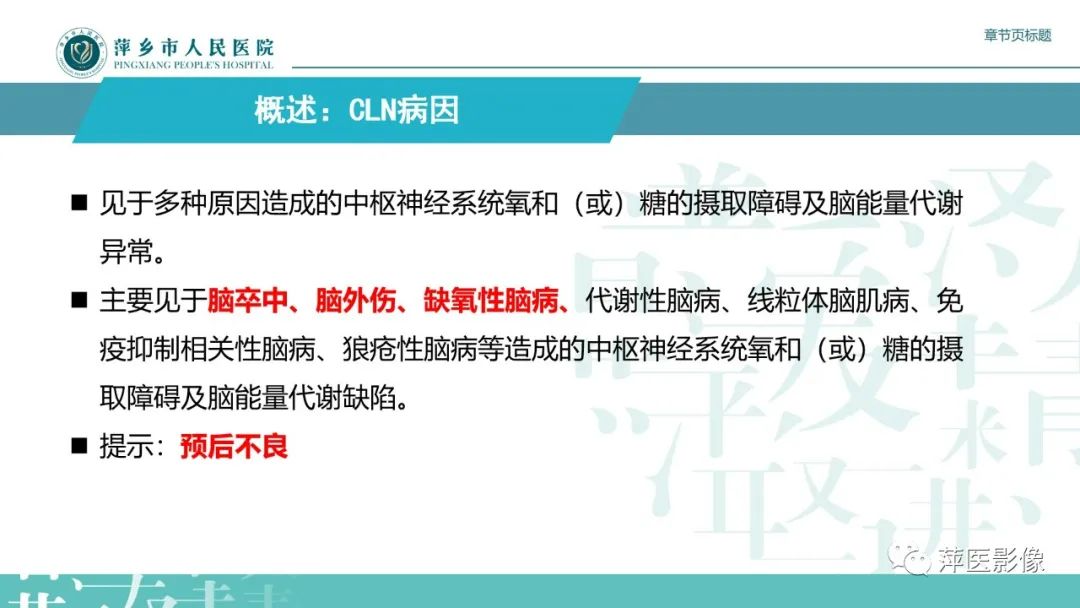 【PPT】脑皮质层状坏死的影像诊断-11