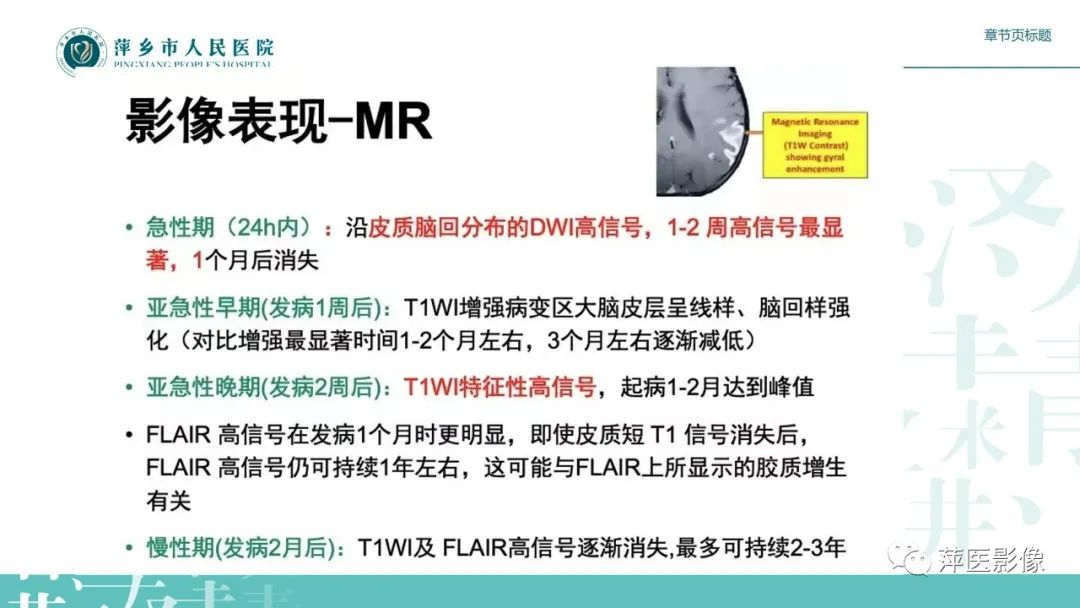 【PPT】脑皮质层状坏死的影像诊断-19