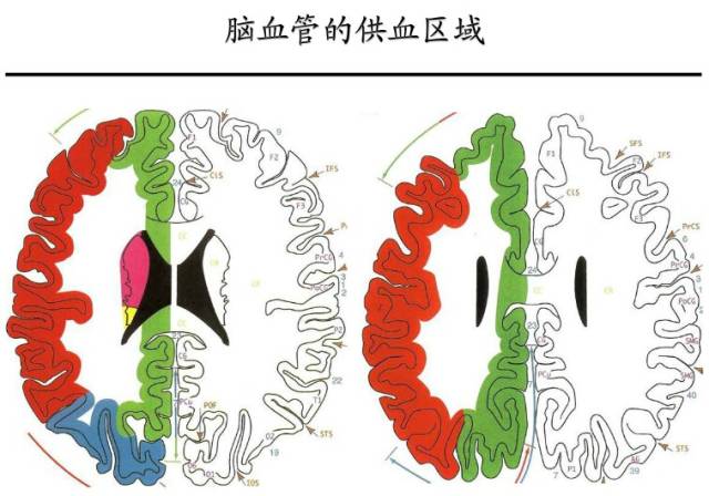 【PPT】猜责任血管与发病机制-29