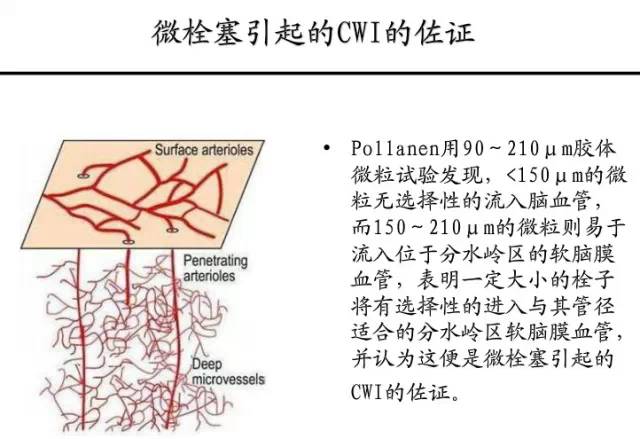 【PPT】猜责任血管与发病机制-36