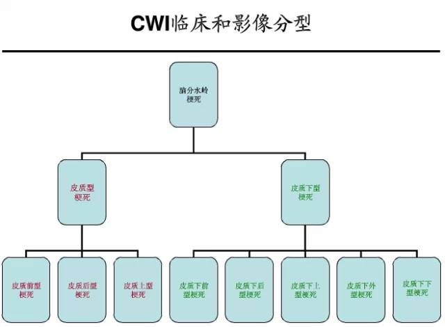 【PPT】猜责任血管与发病机制-49