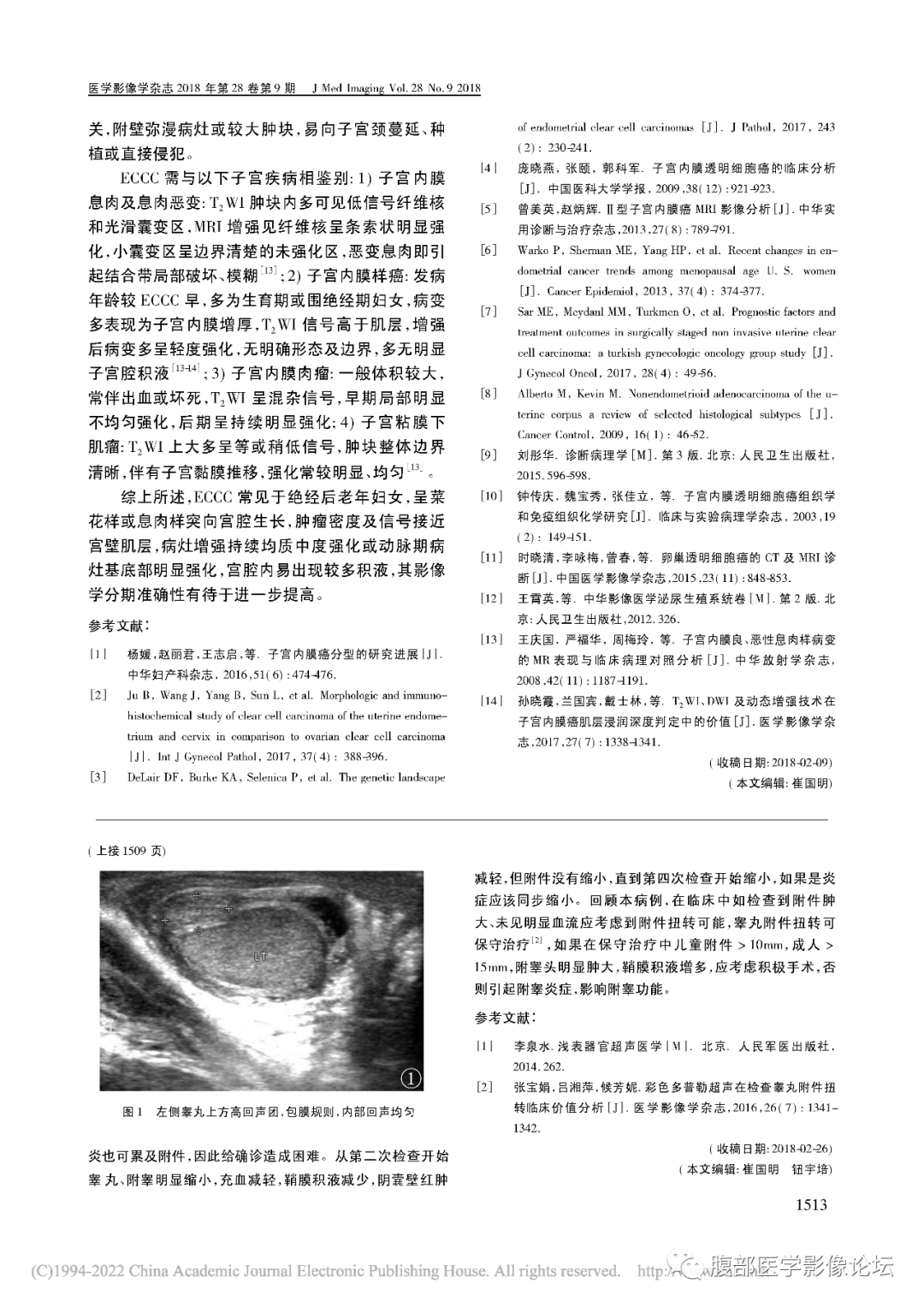 【病例】子宫内膜透明细胞癌1例MR-37