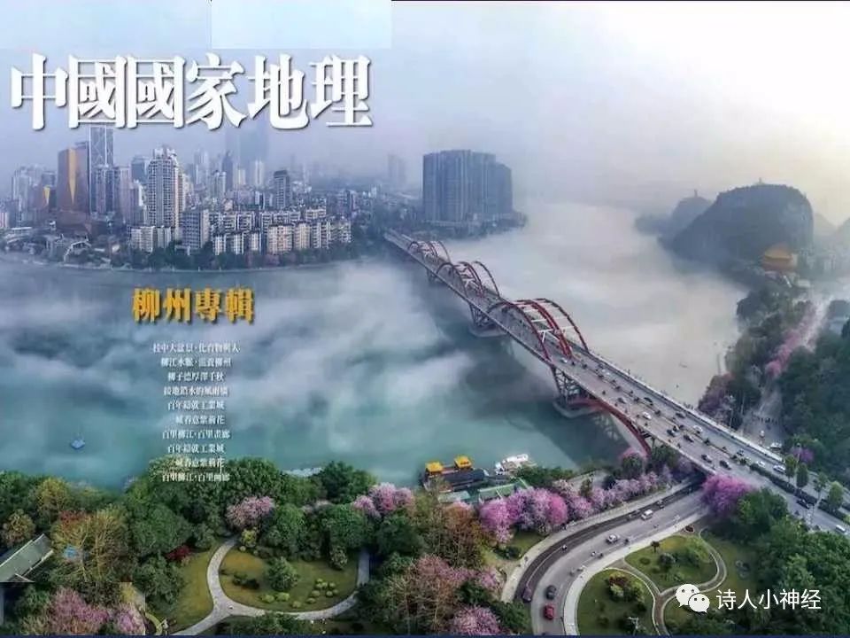 【PPT】“蛇眼征”影像汇总-32