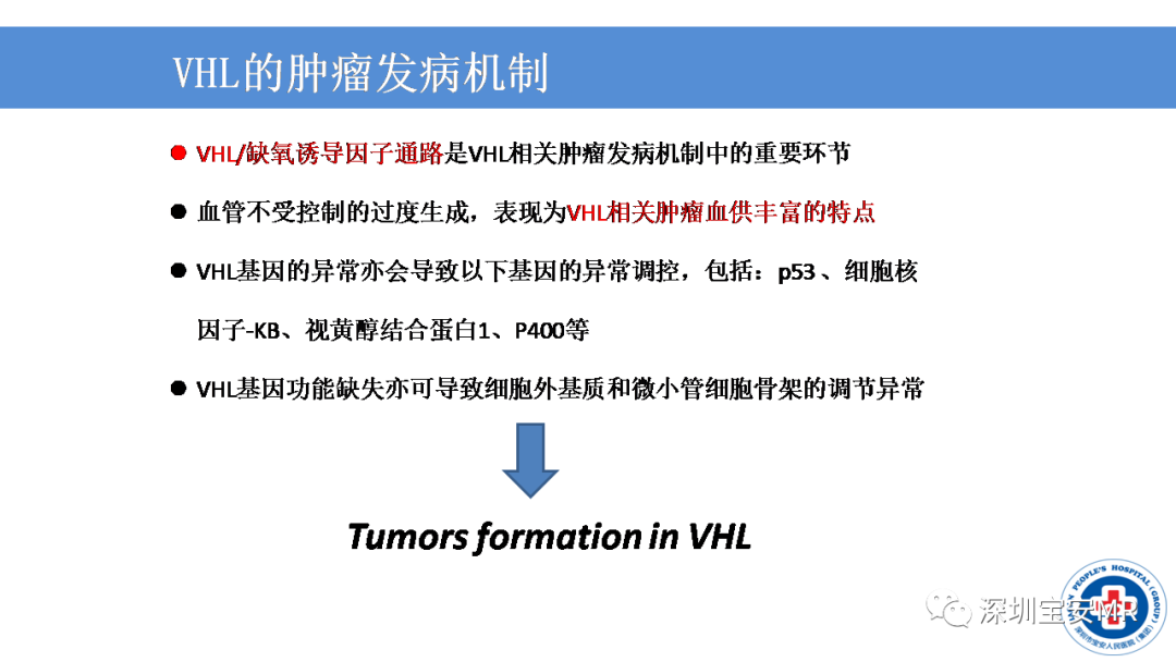 【PPT】VHL综合症及相关肿瘤-6