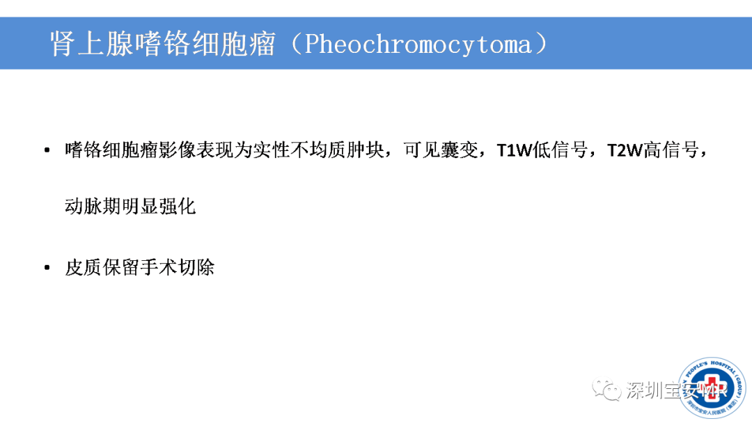 【PPT】VHL综合症及相关肿瘤-36