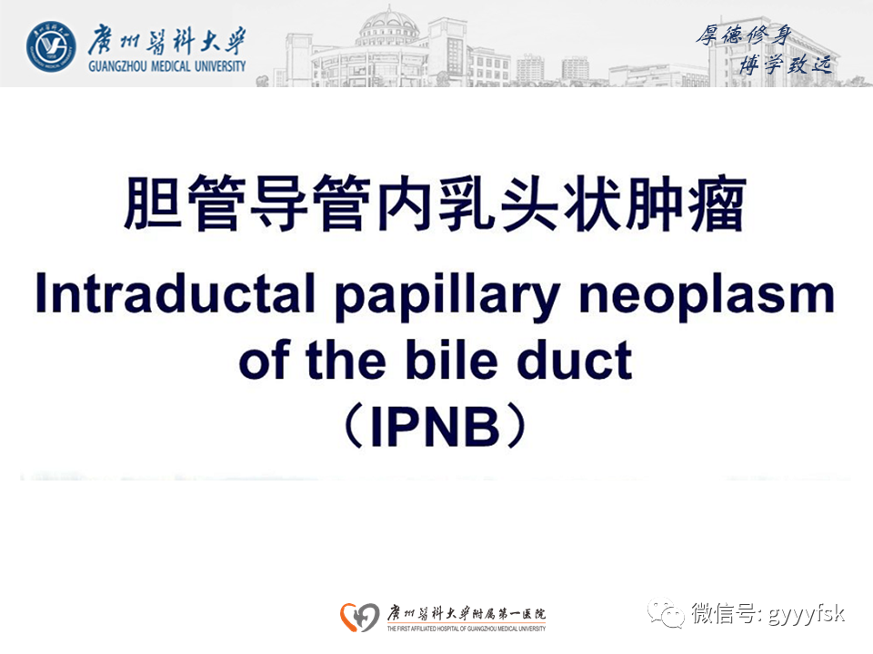 【PPT】胆管导管内乳头状肿瘤(IPNB)-9