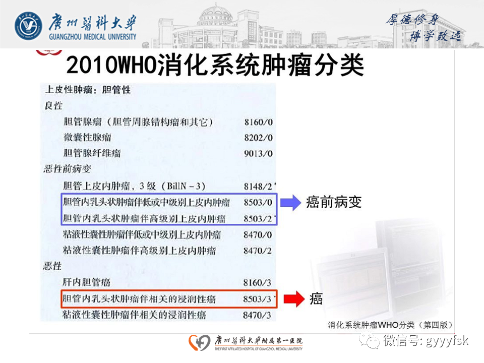 【PPT】胆管导管内乳头状肿瘤(IPNB)-10