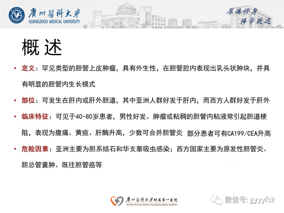 【PPT】胆管导管内乳头状肿瘤(IPNB)-13