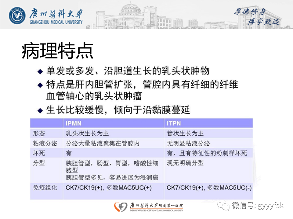 【PPT】胆管导管内乳头状肿瘤(IPNB)-14