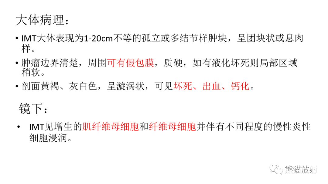 【病例】肺腺癌 VS 炎性肌纤维母细胞瘤-18