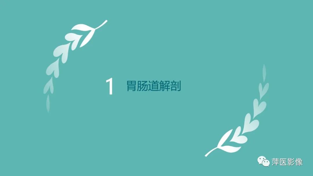 【PPT】肠梗阻读片之小肠篇-3