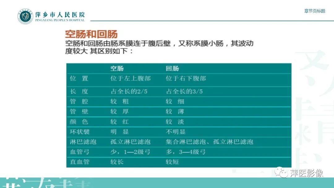 【PPT】肠梗阻读片之小肠篇-5