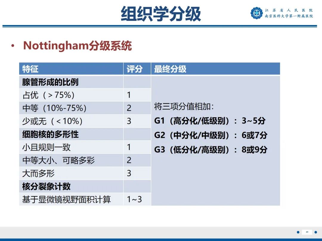 【PPT】浸润性乳腺癌，非特殊类型-42