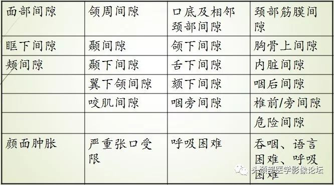 颌面部间隙感染影像诊断及各间隙解剖-2