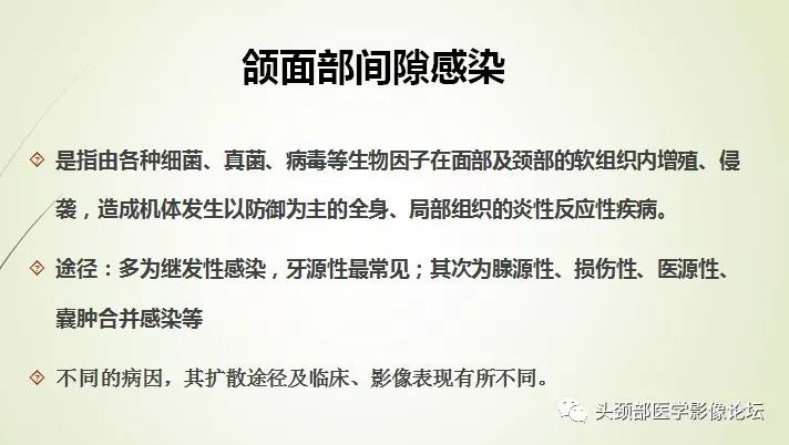 颌面部间隙感染影像诊断及各间隙解剖-1