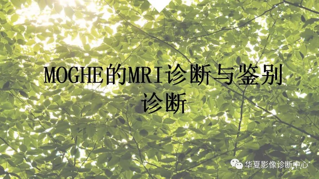 MOGHE的MRI诊断与鉴别诊断-1