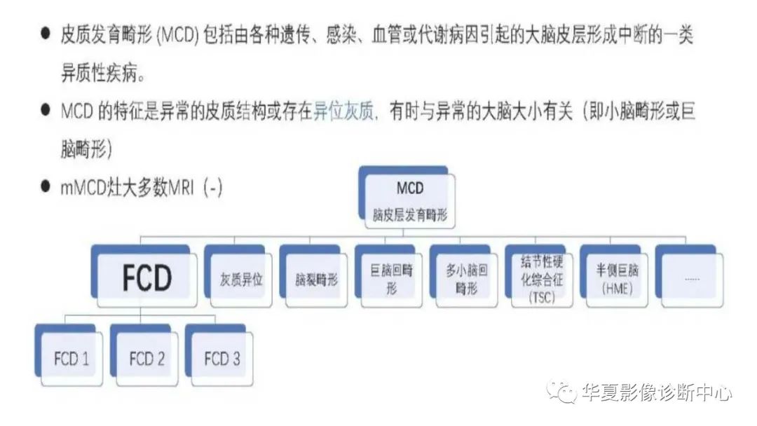 MOGHE的MRI诊断与鉴别诊断-16