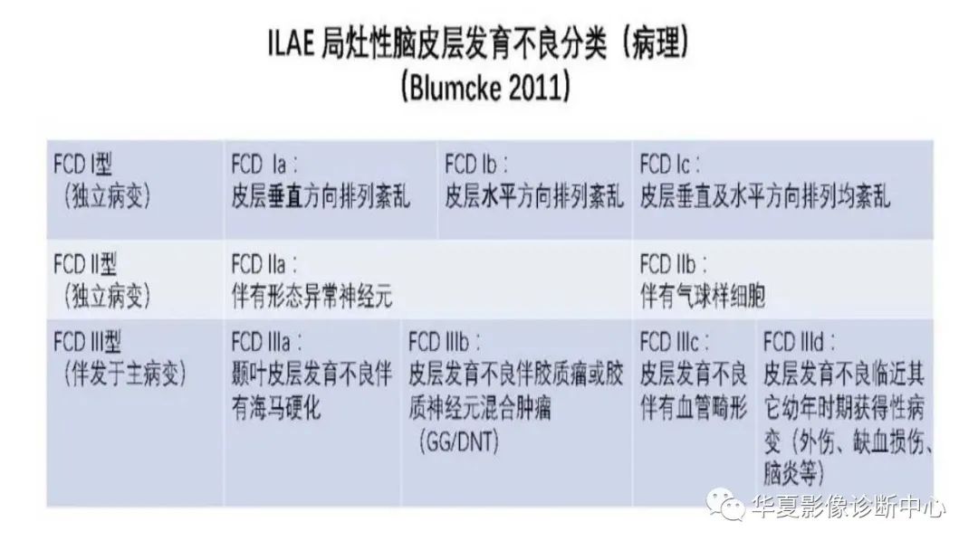 MOGHE的MRI诊断与鉴别诊断-18