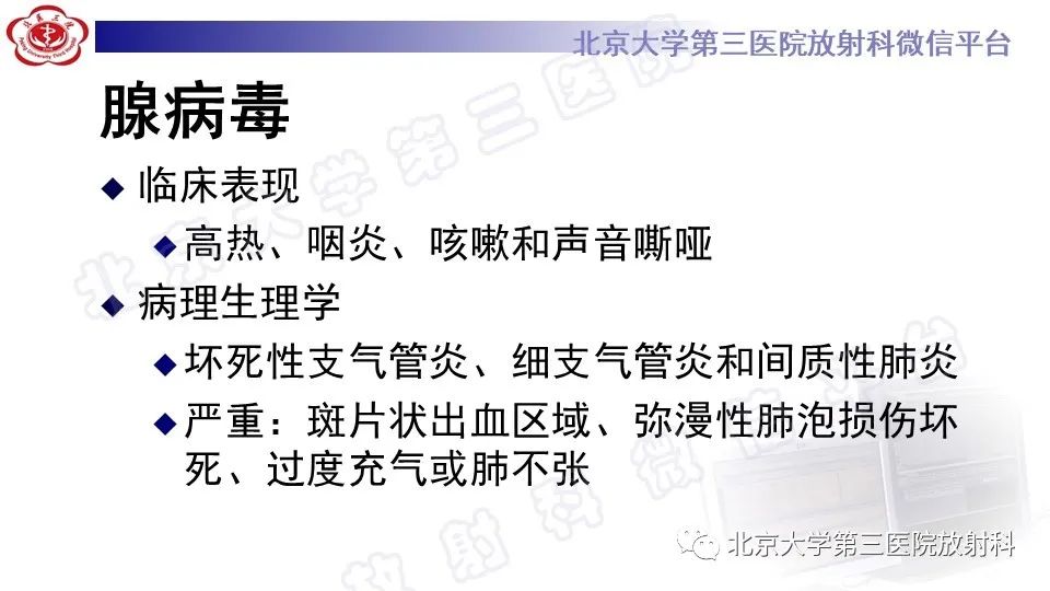 【PPT】病毒性肺炎-27