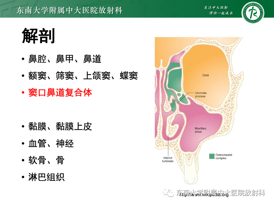 【PPT】真菌性鼻窦炎-5