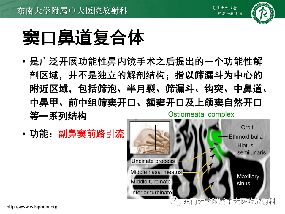 【PPT】真菌性鼻窦炎-6