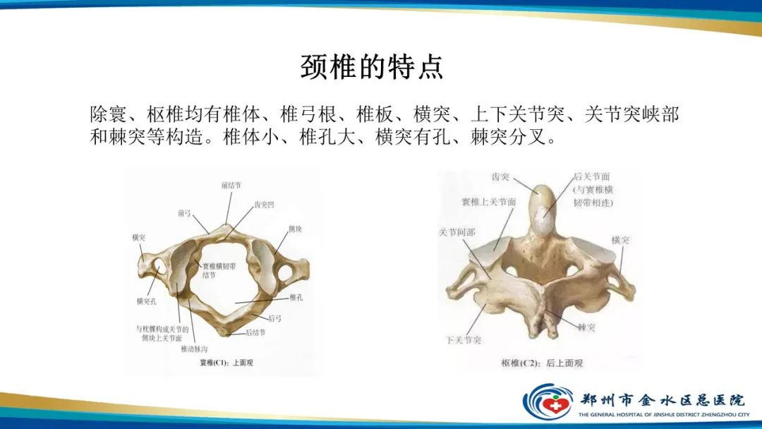 【PPT】颈椎拍片技术与临床意义-4