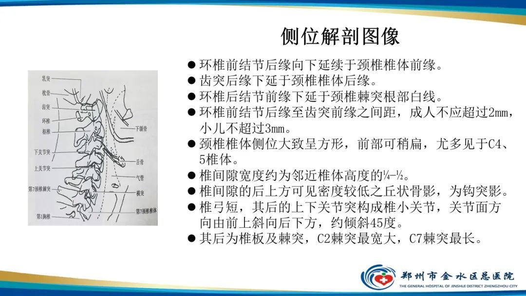 【PPT】颈椎拍片技术与临床意义-17