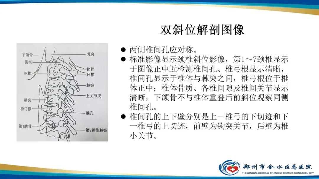 【PPT】颈椎拍片技术与临床意义-20