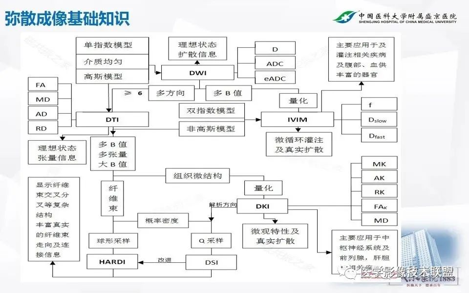 【PPT】磁共振弥散成像的原理及应用-10