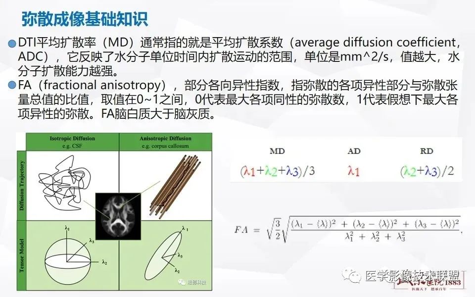 【PPT】磁共振弥散成像的原理及应用-12
