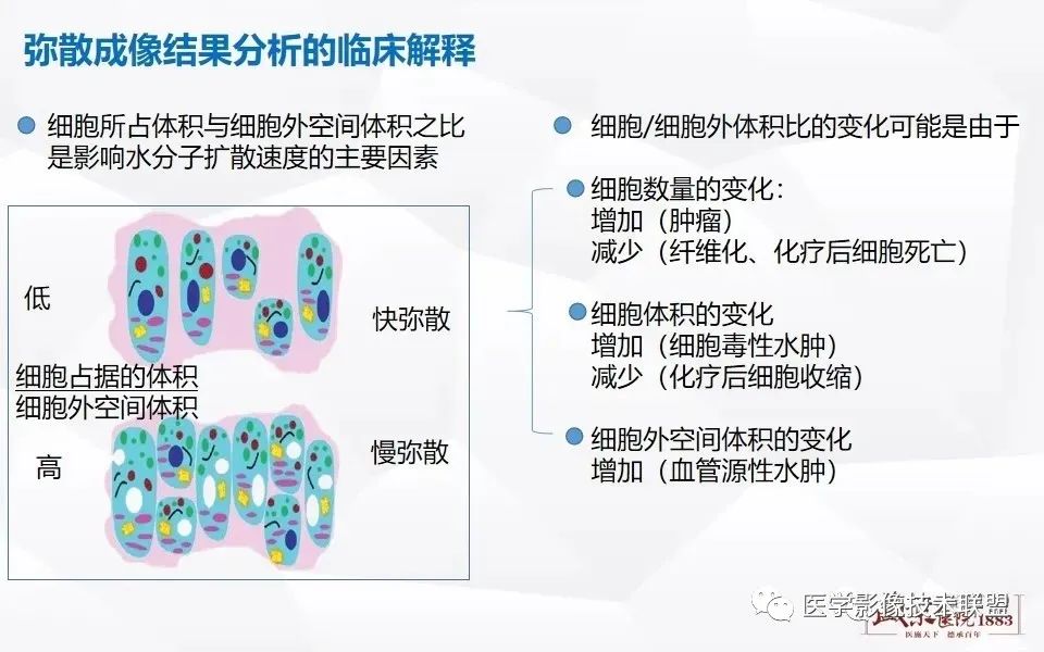 【PPT】磁共振弥散成像的原理及应用-15