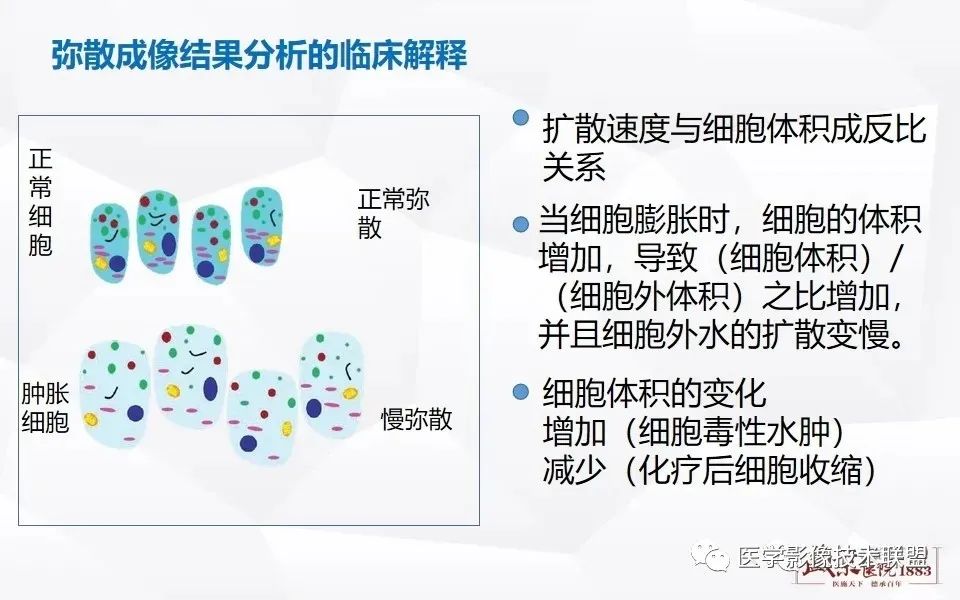 【PPT】磁共振弥散成像的原理及应用-18
