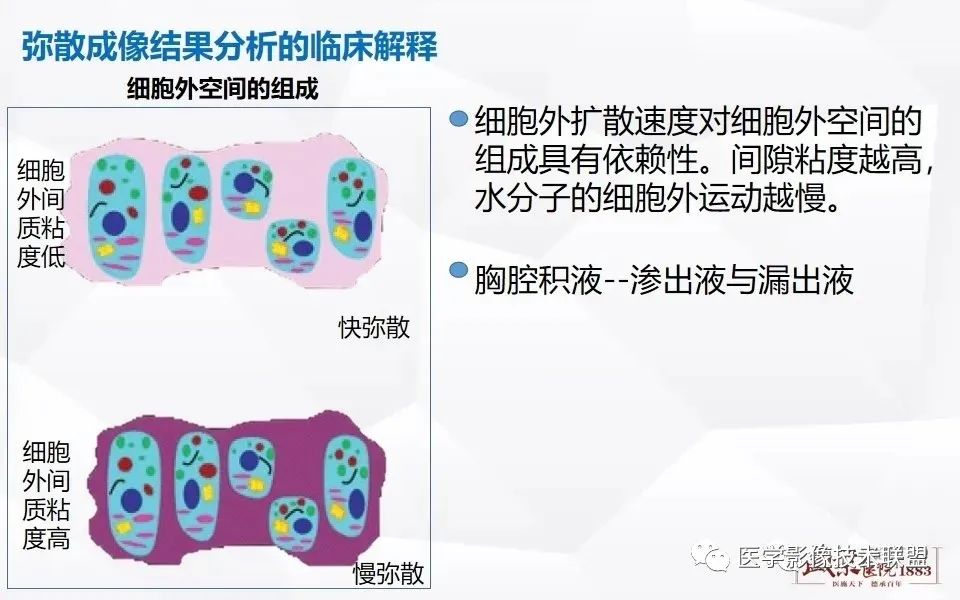 【PPT】磁共振弥散成像的原理及应用-22