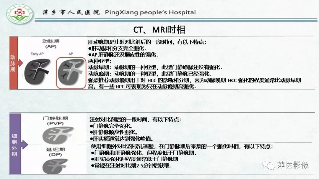 【PPT】HCC影像诊断思路-12