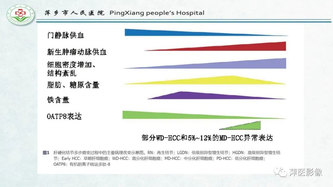 【PPT】HCC影像诊断思路-19