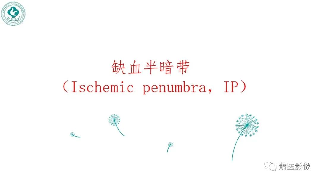 【PPT】脑灌注成像原理及在临床中的应用-23