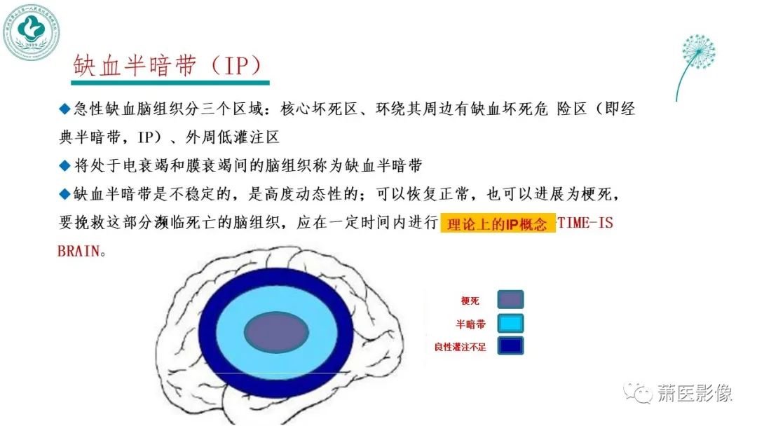 【PPT】脑灌注成像原理及在临床中的应用-24