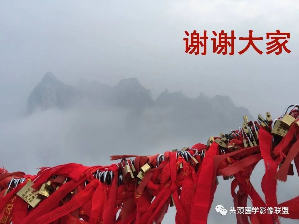 【PPT】耳部常见疾病影像表现-84