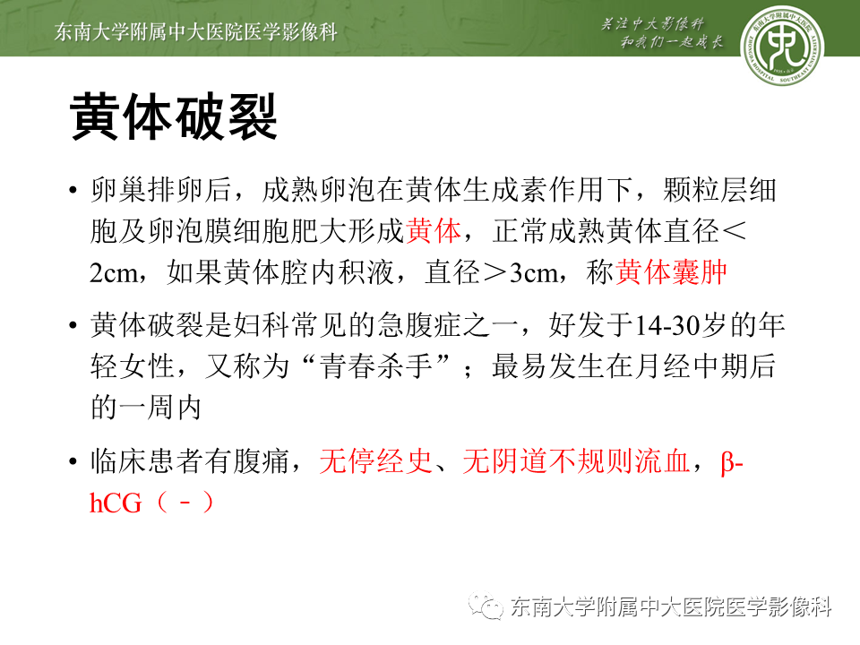 【PPT】常见妇科急腹症的超声-放射诊断-16