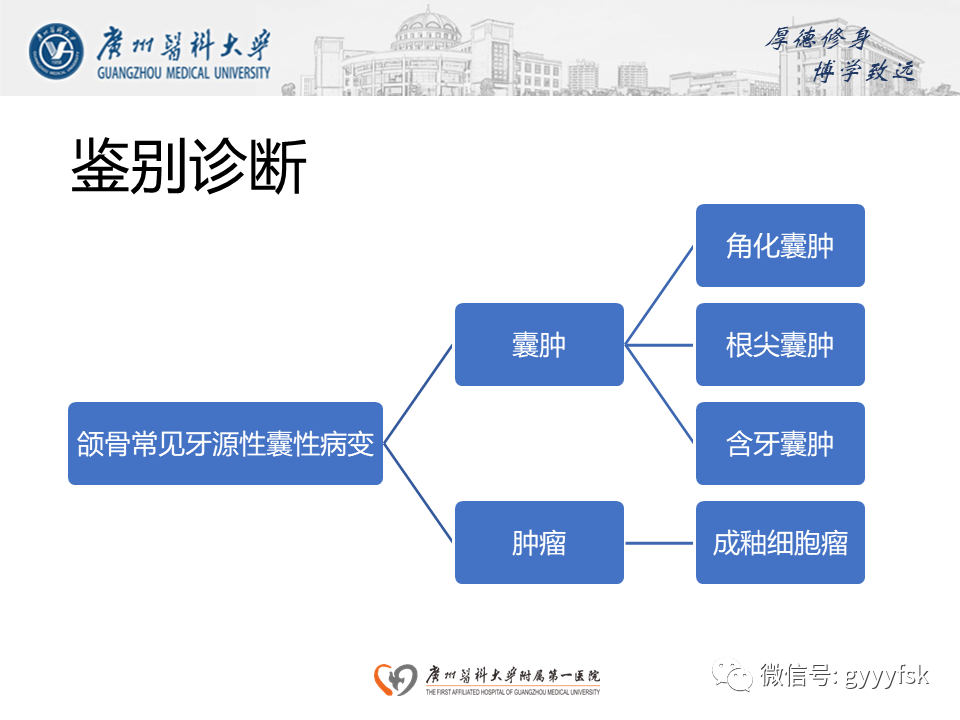 【病例】成釉细胞瘤 VS 牙源性囊肿-15