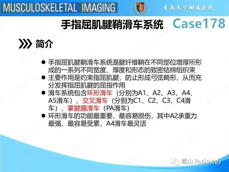 【PPT】手指滑车损伤-12