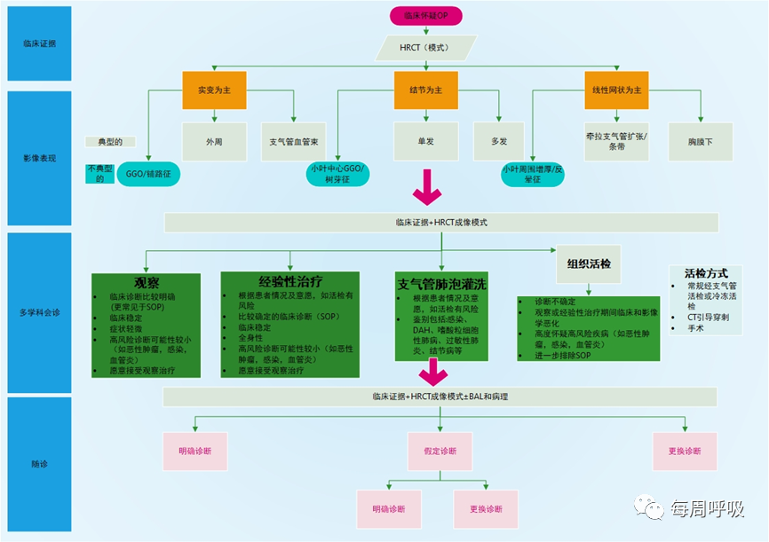 机化性肺炎的诊断流程(临床-影像-病理特征相关性)-2 机化性肺炎的诊断流程(临床-影像-病理特征相关性)-2