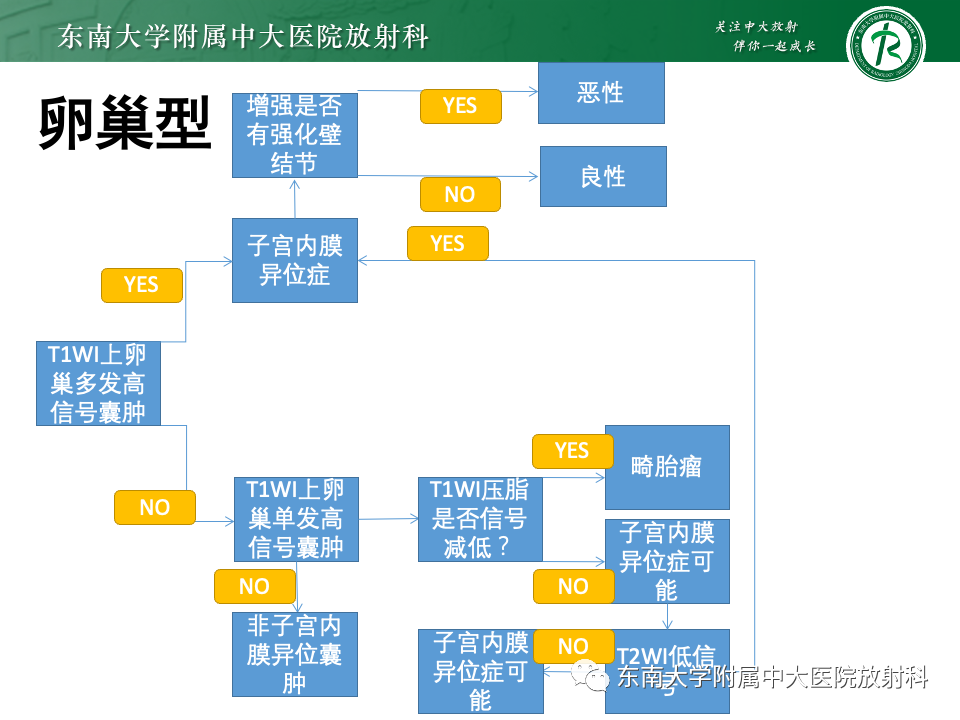 【PPT】子宫内膜异位症-16