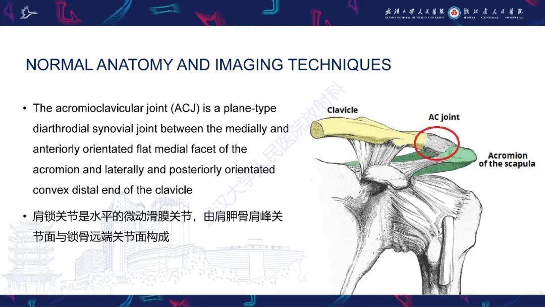 【PPT】肩锁关节病变影像诊断-2