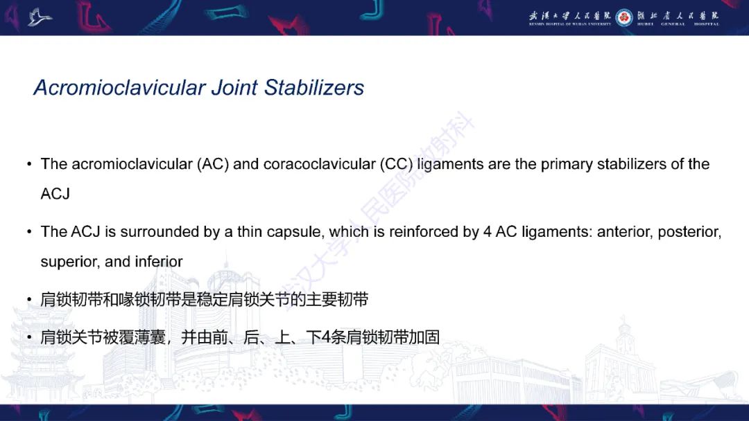 【PPT】肩锁关节病变影像诊断-5